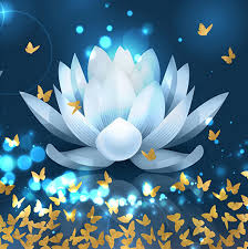 Khóa tu dịp phật đản 2026